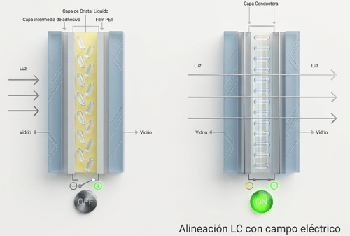 Gemini_Generated_Image_6ew6u26ew6u26ew6